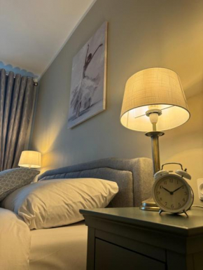 Jaukus apartamentas Birzu centre